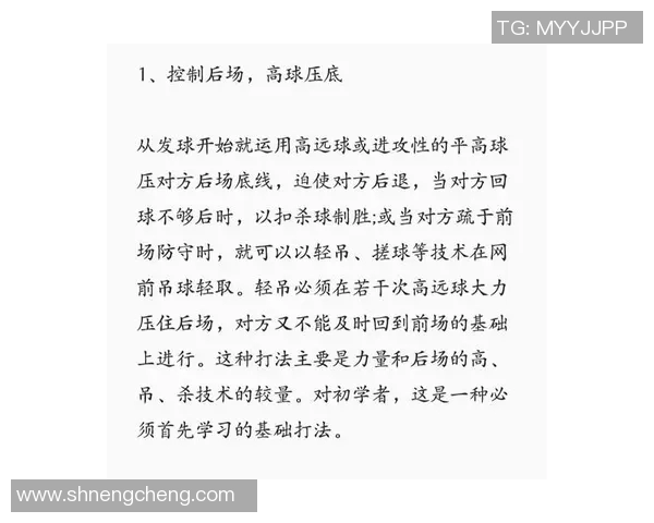 杭州羽毛球队区域防守策略解析与深度剖析