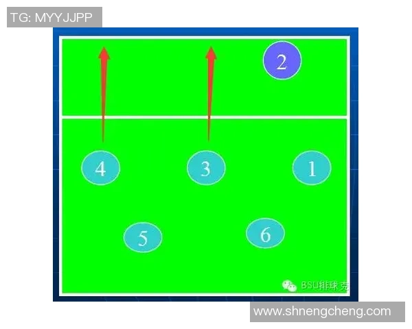 排球盛宴：深入分析成都排球队的战术布局与训练秘诀