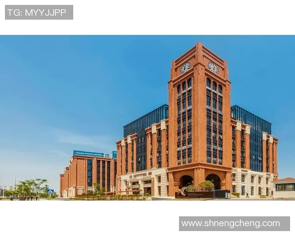 南京排球队运营分析：成功经验与面临挑战的深度剖析