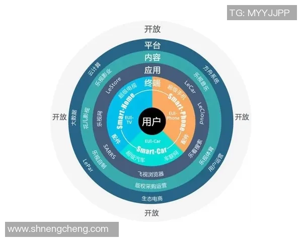 深圳篮球队运营揭秘：深度分析其成功背后的策略与挑战