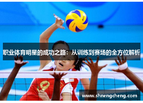 职业体育明星的成功之路：从训练到赛场的全方位解析